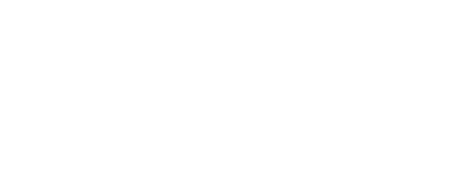 Qatar airline logo