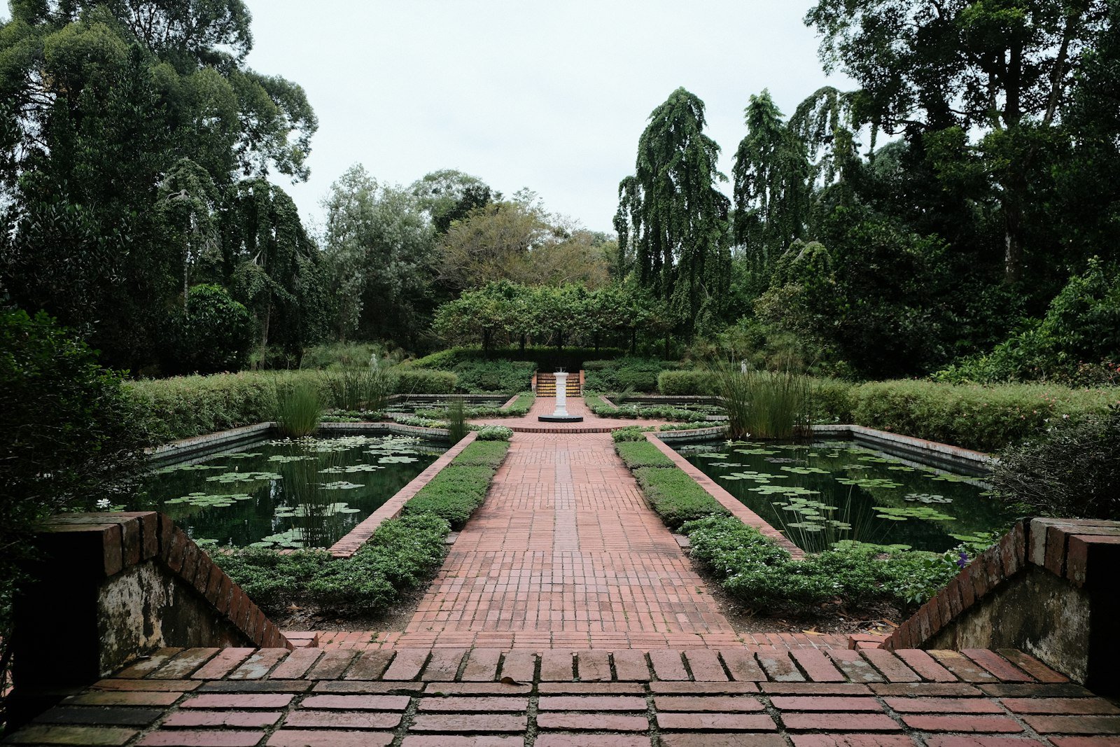 Lily ponds and tropical landscaping at Singapore Botanic Gardens